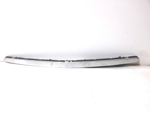 Front bumper trim strip - 1698800383