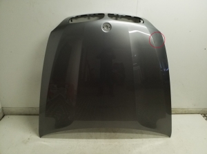 Motorhaube - 