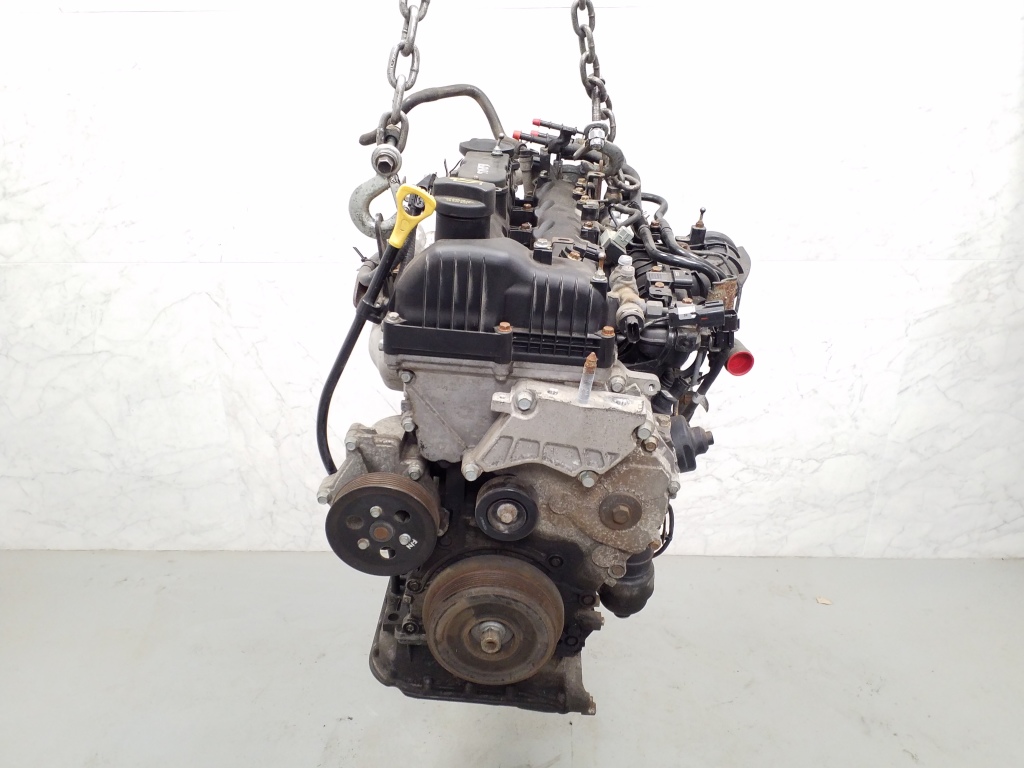 HYUNDAI Santa Fe CM (2006-2013) Holý motor D4HB 24821771