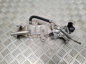  EGR valve and its parts 