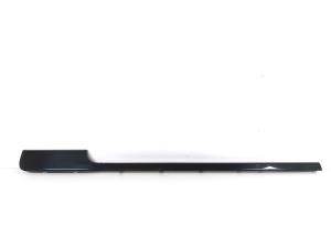 Front door molding - CK5223929AA