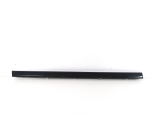 Rear side door molding - CK5220170AA