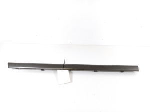 Rear side door molding - CK5220170AA
