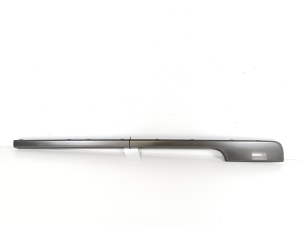 Front door molding - CK5223929AA