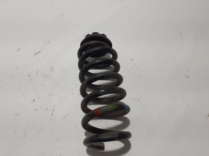 Feder hinten - 550201013R