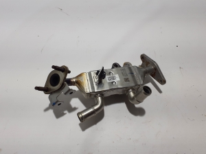   EGR valve cooler 