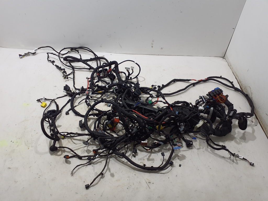 RENAULT Captur 2 generation (2019-2023) Interior wiring harness (left) 282435434R 24903813