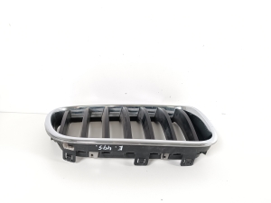 BMW X3 F25 (2010–2017) Front grille 7210726 - 5