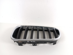 BMW X3 F25 (2010–2017) Front grille 7210725 - 3