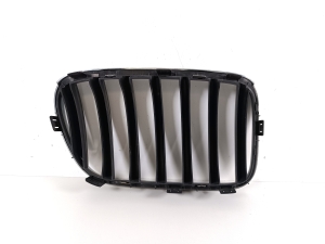 BMW X3 F25 (2010–2017) Front grille 7210725 - 4