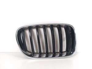 Front grille - 51117210726