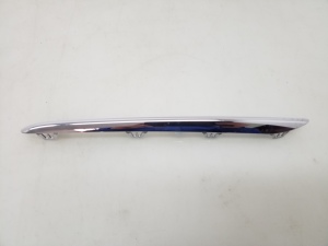 Front grille chrome trim - A1178850921