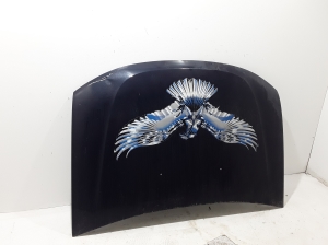Dacia Duster (2010–2017) Hood 651220017R - 2