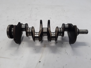 RENAULT Megane II (2002–2009) Kurbelwelle 8200416793