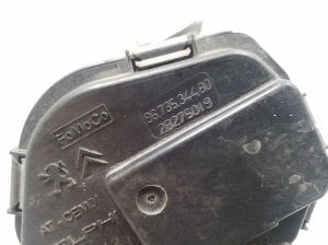 Peugeot 308 (2007–2015) Gaasiklapp 9673534480 - 3