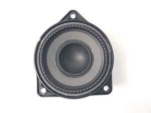   Front door speaker 