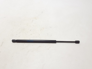 Hood prop/gas strut - 6006603