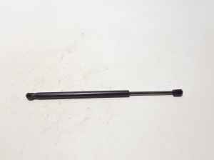 Hood prop/gas strut - 6006603