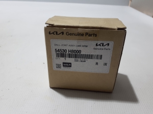 Kia Niro EX (2022–2026) Querlenkerbuchse vorne 54530H8000 - 3