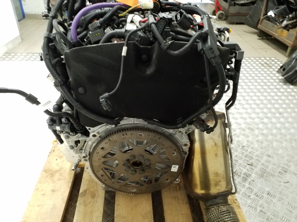 BMW X3 G01 (2017-2024) Engine B47D 25031454