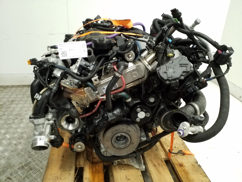 BMW X3 G01 (2017-2024) Engine B47D 25031454