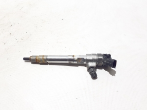   Fuel injector 