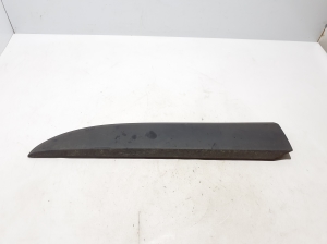   Front door molding  - 808213720R 