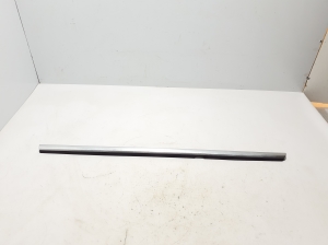 Fensterschachtleiste außen Tür hinten - A1187300801