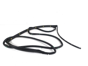 Rear side door seal on the door - 5755A422
