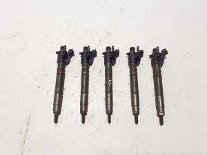   Fuel injector 