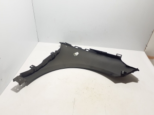 RENAULT Espace V (2014–2026) Front fender 631016135R - 2
