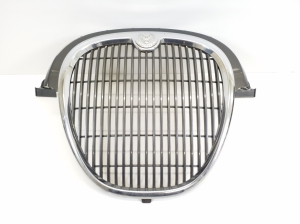 Kühlergrill - 4R838A100AB