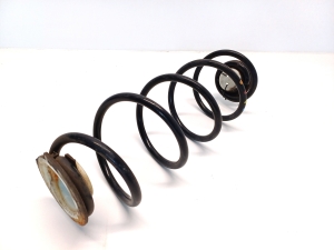 Rear spring - 