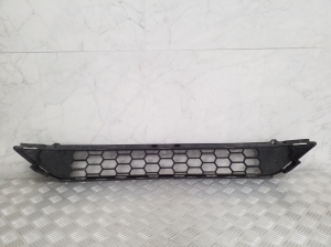  Front bumper lower grille 