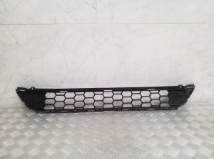  Front bumper lower grille 