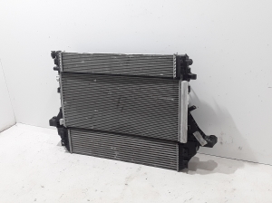  Radiator set and its details 