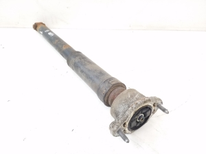 Mercedes Benz E-Class W207 (2009–2017) Stoßdämpfer hinten A2073202130 - 2