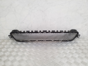   Front bumper lower grille 