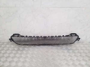  Front bumper lower grille 