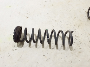   Rear spring  - 1874850 