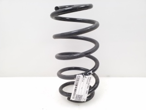 Front spring