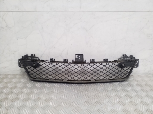   Front bumper lower grille 