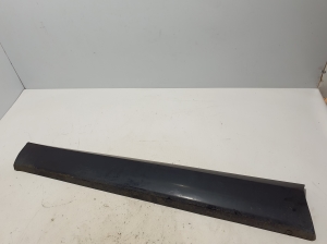   Front door molding  - 808219634R 