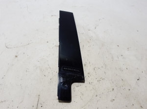   Rear side door outer window molding  - 822831252R 