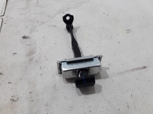 RENAULT Espace VI (2023–2026) Front door check 804309225R - 2