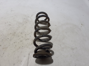Rear spring - 550201245R