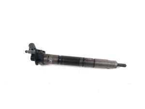   Fuel injector 