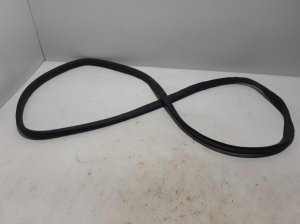   Rear side door seal on the door  - 769235326R 
