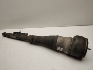   Rear shock absorber  - A2223200413 