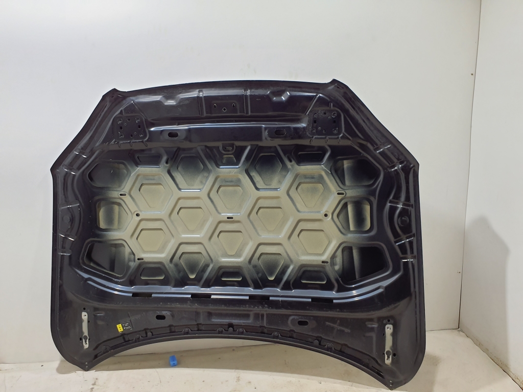 VOLVO XC90 2 generation (2014-2024) Bonnet 31352866 25572254